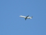 Embraer ERJ-145LR (EMB-145LR)